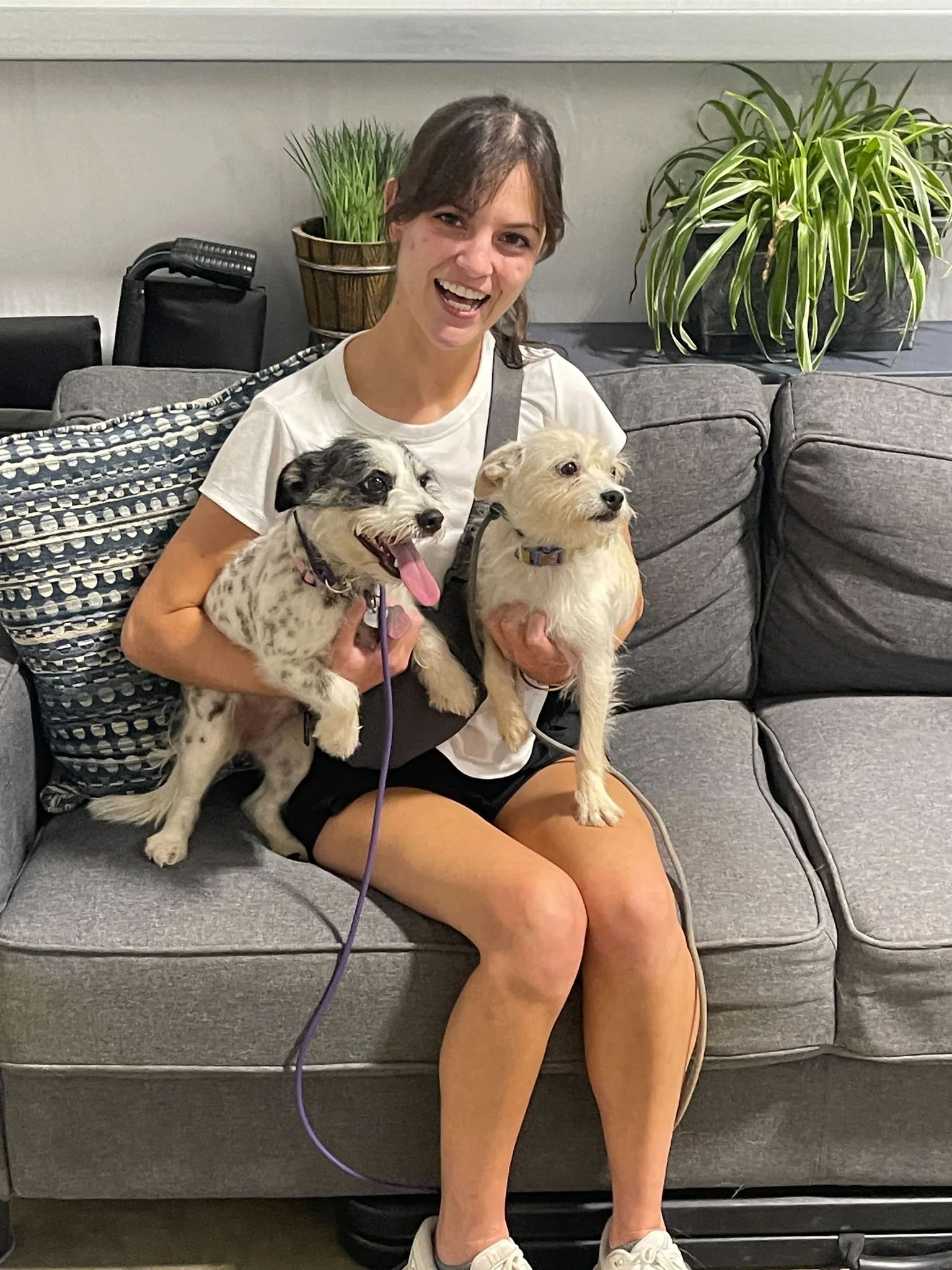 Happy owners with trained dogs