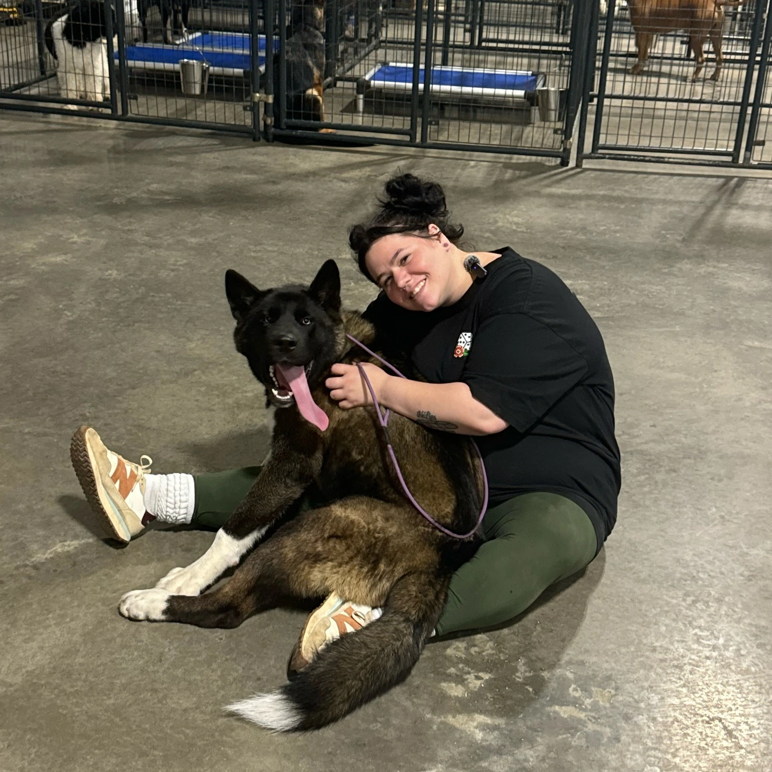 Puppy training session