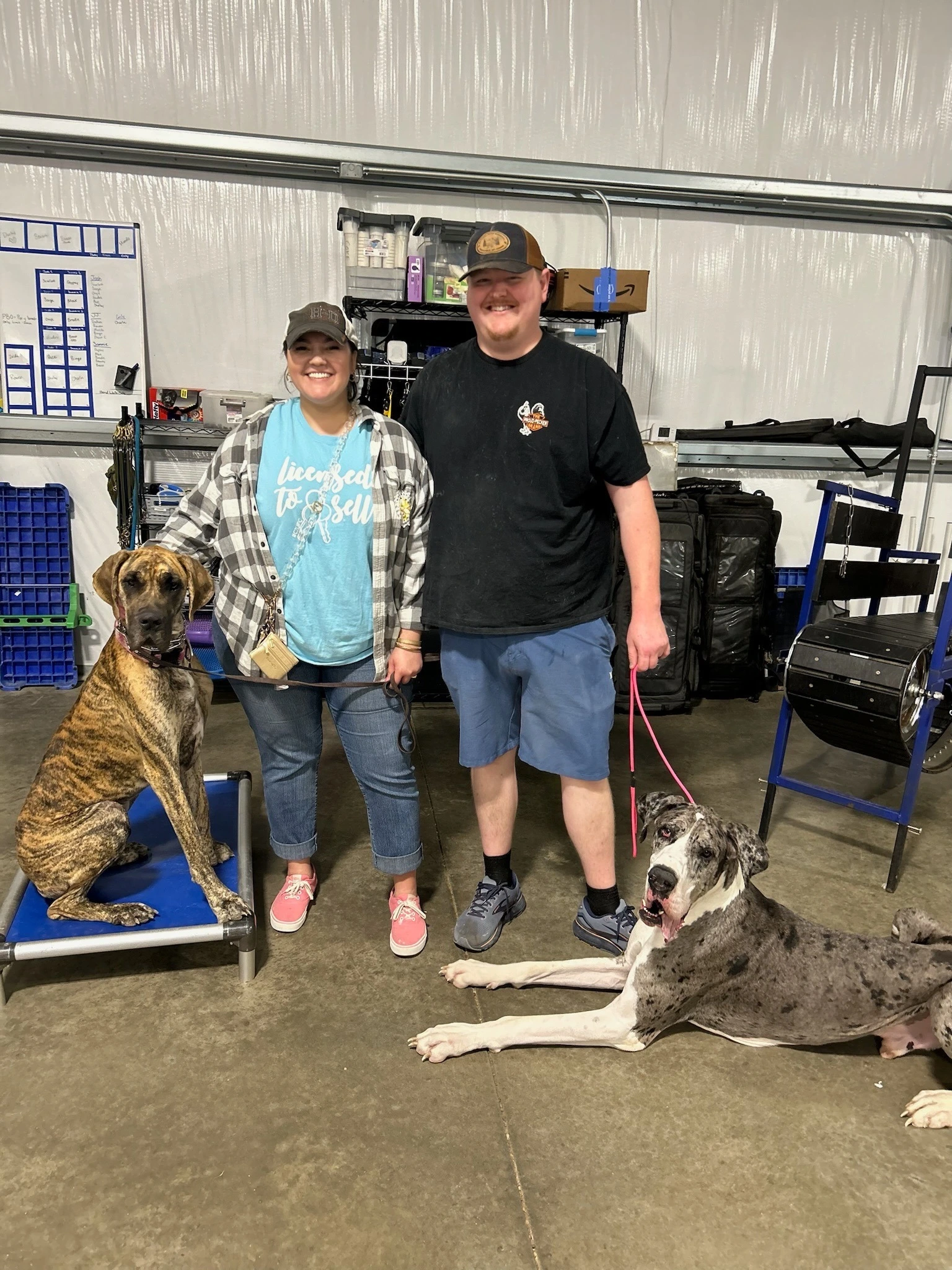 Team with dogs at the center